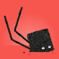 Daddy Long Legs