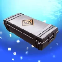 Case Simulator fo Standoff 2 D