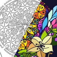 Color Story - paint journey