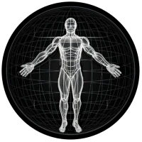 BodBot AI Workout Planner